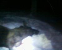 post-4705-0-41555000-1329420085_thumb.jp