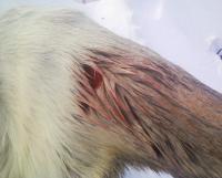 post-4705-0-69521200-1329423746_thumb.jp