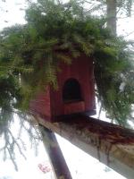 post-13980-0-16923200-1361738857_thumb.j