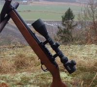 post-14396-0-41351800-1361295608_thumb.j