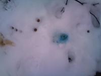 post-3128-0-78002400-1362082057_thumb.jp