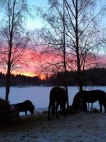 post-5858-0-45647300-1361103653_thumb.jp