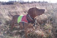 post-10018-0-58041700-1392890477_thumb.j