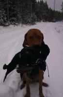 post-10018-0-82907900-1392890433_thumb.j