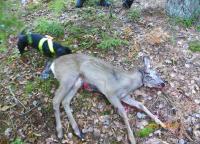 post-10445-0-70292000-1391627280_thumb.j