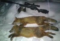 post-10656-0-67254300-1391760348_thumb.j