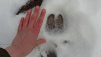 post-10838-0-80533400-1391880553_thumb.j