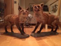 post-11331-0-81307700-1423852824_thumb.j