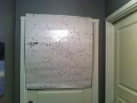 post-16336-0-96367700-1423556171_thumb.j