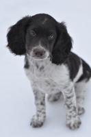 post-16488-0-06974800-1424168178_thumb.j