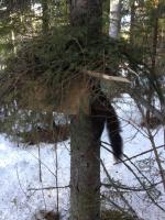 post-5858-0-39254900-1424525829_thumb.jp