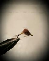 post-11533-0-58481000-1456037011_thumb.j