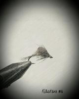 post-11533-0-98295500-1456036945_thumb.j