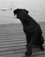 post-699-1205608213_thumb.jpg
