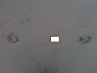 post-4114-0-64804700-1300478432_thumb.jp