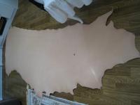 post-7567-0-43155700-1300468574_thumb.jp