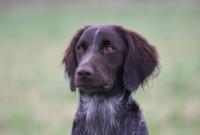 post-6337-0-03089800-1330713538_thumb.jp