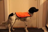 post-7649-0-48450200-1331327187_thumb.jp