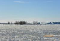 post-10445-0-22731000-1362330184_thumb.j