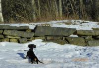 post-10445-0-35349700-1362330216_thumb.j