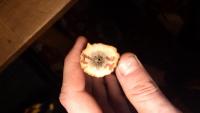 post-11919-0-47755700-1364072520_thumb.j