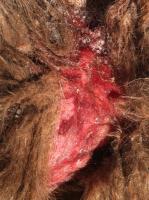 post-1234-0-01214700-1364659850_thumb.jp