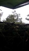 post-14396-0-43024300-1362403449_thumb.j
