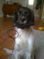 post-7649-0-85098700-1363010847_thumb.jp