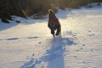 post-9181-0-41953100-1364157043_thumb.jp