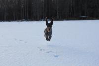 post-9181-0-53651100-1364156924_thumb.jp