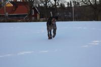 post-9181-0-68646100-1364156910_thumb.jp