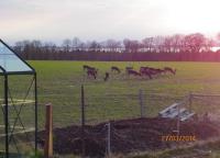 post-10445-0-64246000-1395939200_thumb.j