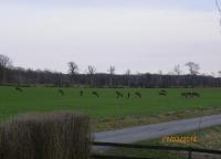 post-10445-0-97519100-1395939192_thumb.j