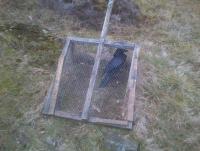 post-4850-0-87184900-1395937557_thumb.jp