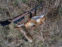 post-9698-0-30766200-1393709095_thumb.jp