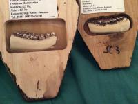 post-11709-0-15284600-1425260974_thumb.j