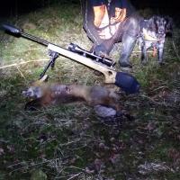 post-5975-0-16333500-1457464025_thumb.jp