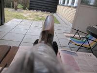 post-2136-1270924272_thumb.jpg