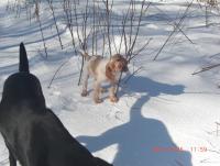 post-1111-0-13017700-1301665411_thumb.jp