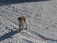 post-1111-0-69416100-1301665234_thumb.jp