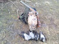 post-2194-0-44058900-1302337963_thumb.jp