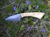 post-2639-0-41114000-1303654799_thumb.jp