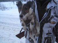 post-4590-0-56755400-1302435497_thumb.jp