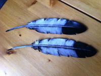 post-6733-0-82287200-1302732125_thumb.jp