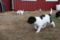 post-7649-0-91073200-1303058051_thumb.jp