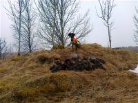 post-7733-0-52951600-1302589889_thumb.jp