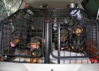 post-10445-0-22035600-1335111328_thumb.j