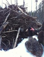 post-4665-0-22010800-1334572332_thumb.jp