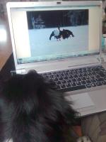 post-7649-0-71395900-1333957896_thumb.jp