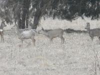 post-9336-0-02157600-1334059986_thumb.jp